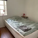 Pa Elmensbjerg *